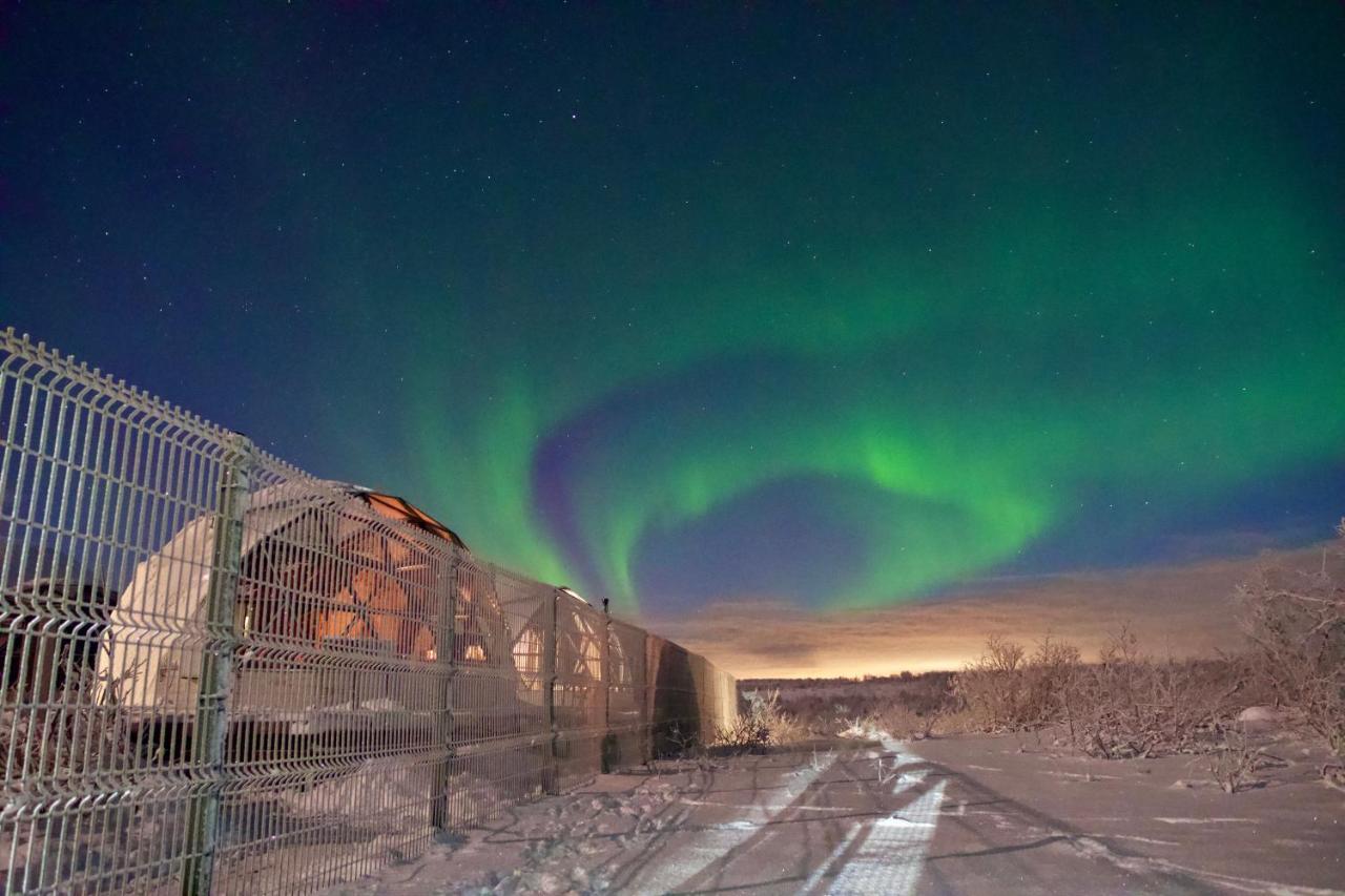 Глэмпинг Aurora Village Murmansk Exteriör bild